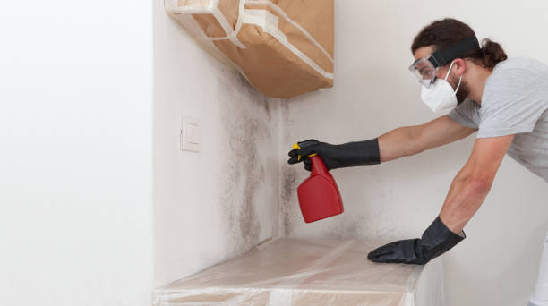 Professional Bathroom Mold Removal technician working in Monroe Township, NJ