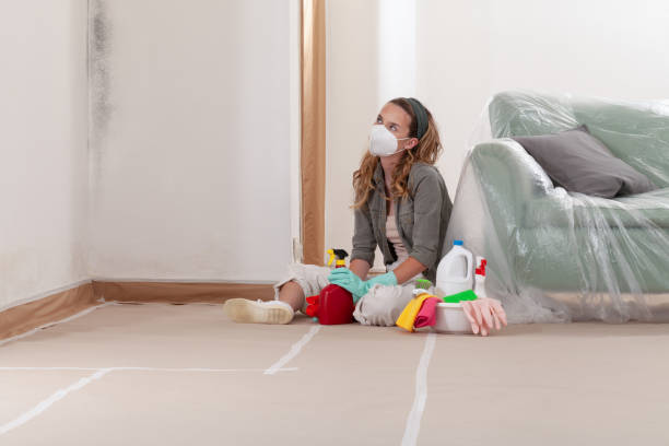 Reliable Bathroom Mold Removal contractor in Monroe Township, NJ by WQB Mold Removal